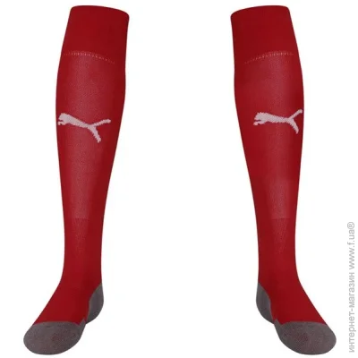  Puma Team Liga Socks (703441-01-31-34)