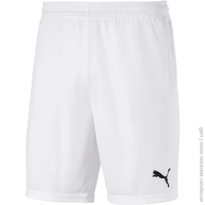 Puma teamGOAL 23 knit Shorts (704262-04-XL)