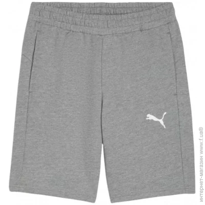  Puma teamGOAL Casuals (658608-33-XL)