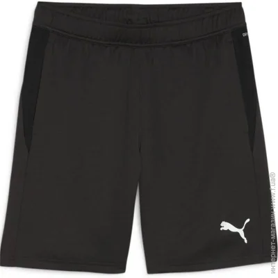  Puma teamGOAL Training (658643-03-XL)