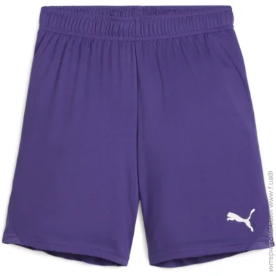 Puma teamGOAL Violet (705753-10-152 CM)