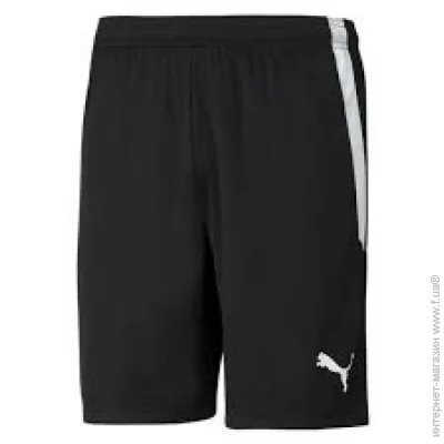  Puma Teamliga (704924-03-XL)
