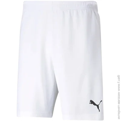 Puma teamRISE Short (704942-03-M) Puma teamRISE Short (704942-03-M)