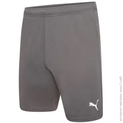 Puma teamRISE Short (704942-13-M)