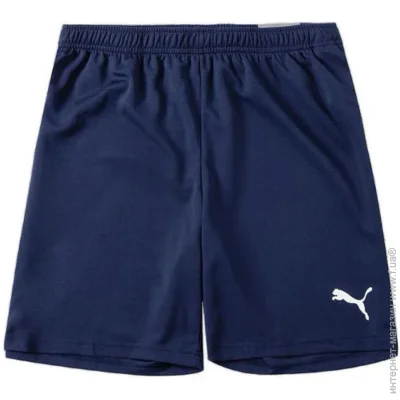 Puma  teamRISE Short -  M 704942-06 M