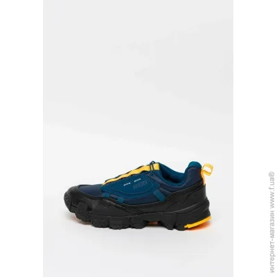    Puma Trailfox Overland Trainers (370772-02-40)