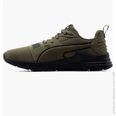   Puma Wired Run Pure Green (389275-05-42.5)