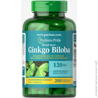   Puritan's Pride Ginkgo Biloba Standardized Extract 120 mg 200 Caps (000004076)