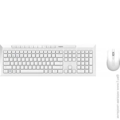  (  ) Rapoo 8210M White