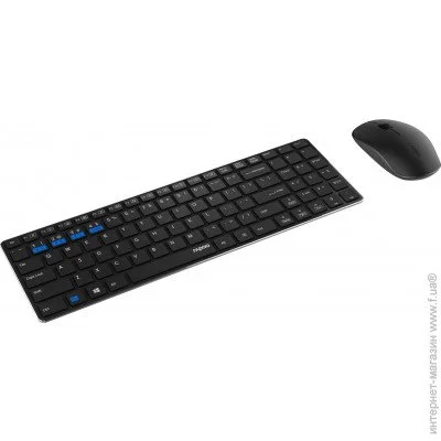  (  ) Rapoo 9300M Black