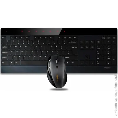  (  ) Rapoo Wireless Laser Combo (8900P)