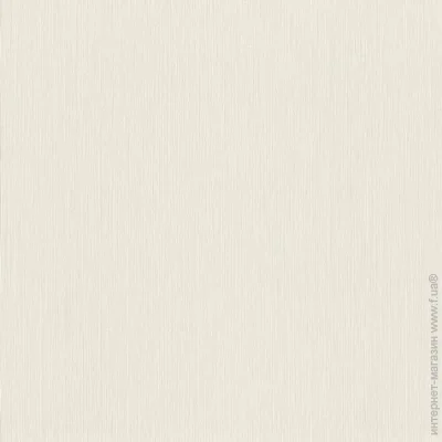 Rasch      Metal Spirit 977219 1,06x10,05 