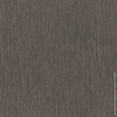 Rasch      Metal Spirit 977318 1,06x10,05 