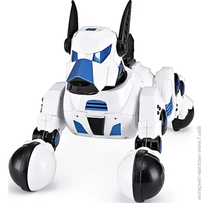   Rastar - (77900)