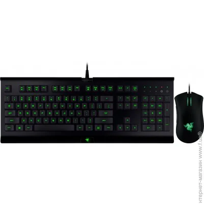  (  ) Razer Cynosa Black (RZ84-01470200-R3G1)