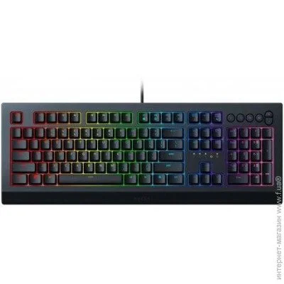  Razer Cynosa V2 (RZ03-03400700-R3R1)