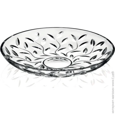  RCR Laurus 33  (25596020206)