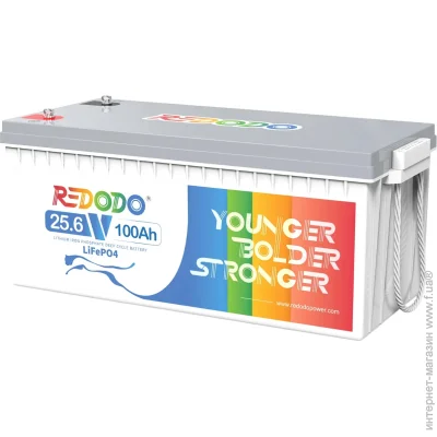     Redodo LiFePO4 24V (25.6V/100Ah/2560Wh)