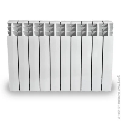 Reiger   500/96 R