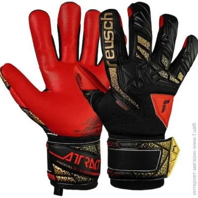   Reusch Attrakt Freegel Silver (5572235-7075-8)