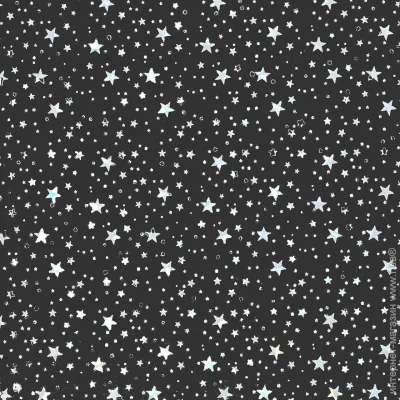         ES 07.31  /black Riko