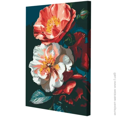    Riviera Blanca   28x40  (RB-1049)