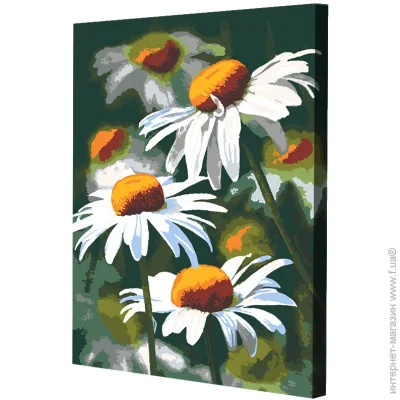    Riviera Blanca  40x50  (RB-1123)