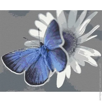    Riviera Blanca  40x50  (RB-0107)