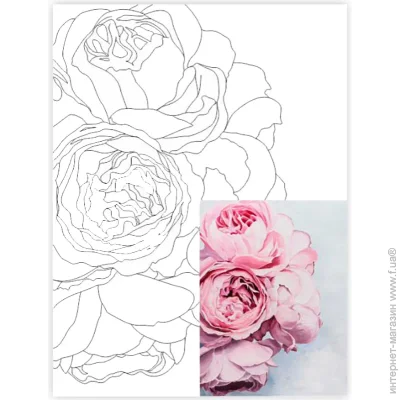 Rosa ()       29 30x40  220 /  ,