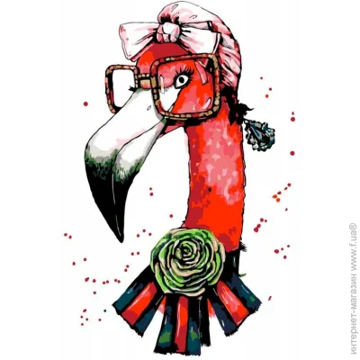    Rosa Start      Fashion Flamingo