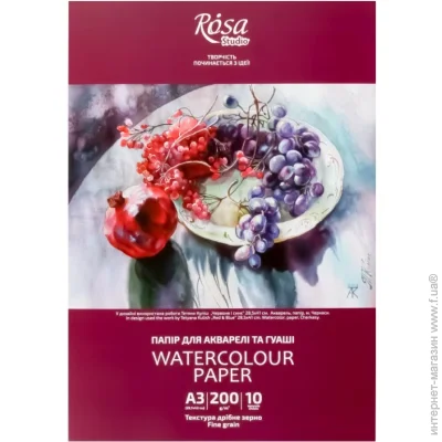 Rosa Studio     3 16921001