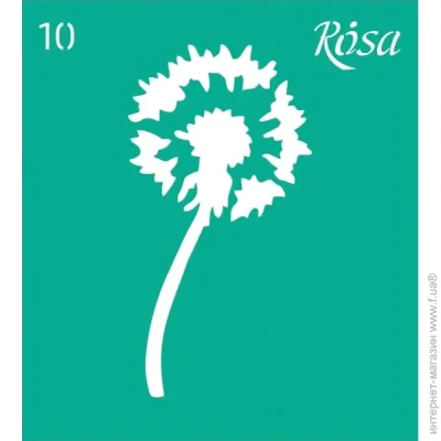 Rosa Talent    10 3625110 90100 