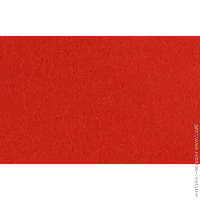Rosa Talent    165FW-H002 1-1,4 , 21,528 