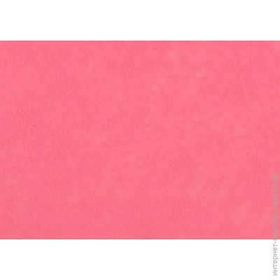 Rosa Talent     165FW-H005 1-1,4 , 21,528 