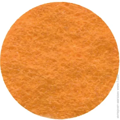 Rosa Talent    165FW-H006 1-1,4 , 21,528 