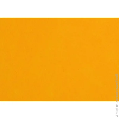 Rosa Talent     165FW-H008 1-1,4 , 21,528 