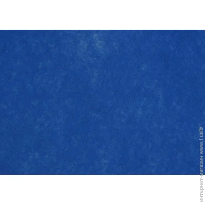 Rosa Talent    165FW-H013 1-1,4 , 21,528 