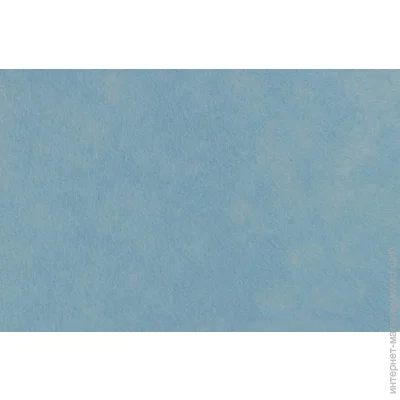 Rosa Talent   - 165FW-H015 1-1,4 , 21,528 