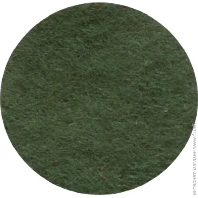 Rosa Talent   - 165FW-H016 1-1,4 , 21,528 