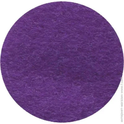 Rosa Talent    165FW-H021 1-1,4 , 21,528 