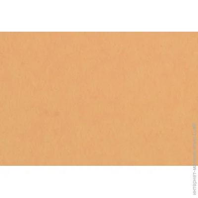 Rosa Talent    165FW-H030 1-1,4 , 21,528 