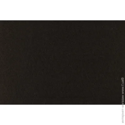 Rosa Talent    165FW-H031 1-1,4 , 21,528 