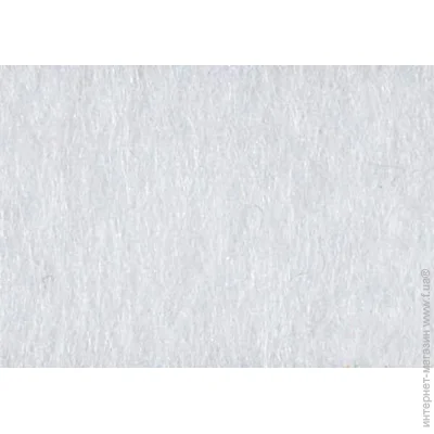 Rosa Talent    165FW-H032 1-1,4 , 21,528 