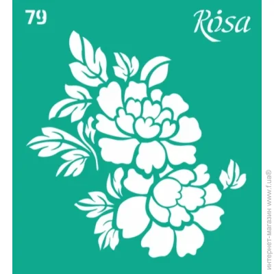 Rosa Talent    79 3625184 90100 