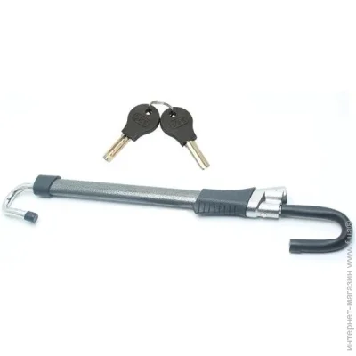    RS   ML684     ѳ (2905)