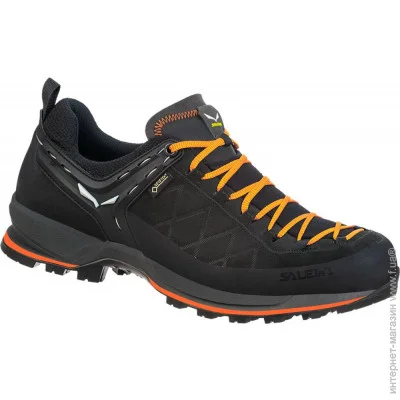  Salewa MS MTN Trainer 2 GTX 0933 black-carrot (), 43 (013.001.4286)