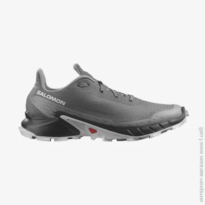    Salomon ALPHACROSS 5 (473133-42.5)