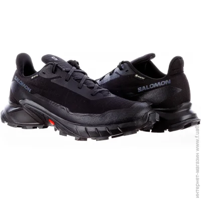    Salomon Alphacross 5 Gore-Tex (L47307500-43.5)