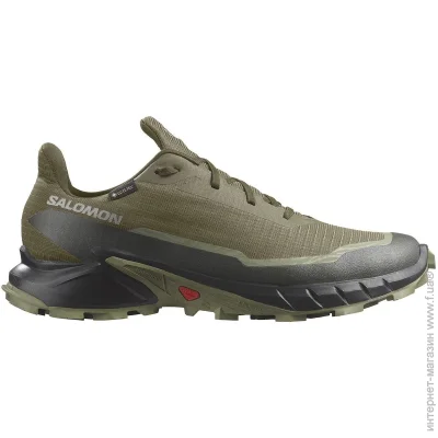    Salomon Alphacross 5 GTX (473103-42.5)