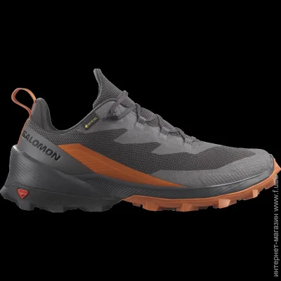    Salomon Cross Over 2 GTX (472650-42.5)